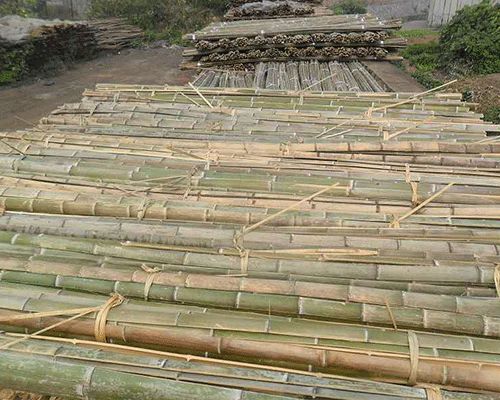 5米旗杆竹 耒阳市三湘竹木建材 5米旗杆竹报价