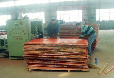 安邦系列建筑模板精选图片库——合肥市新站区安邦建材经营部